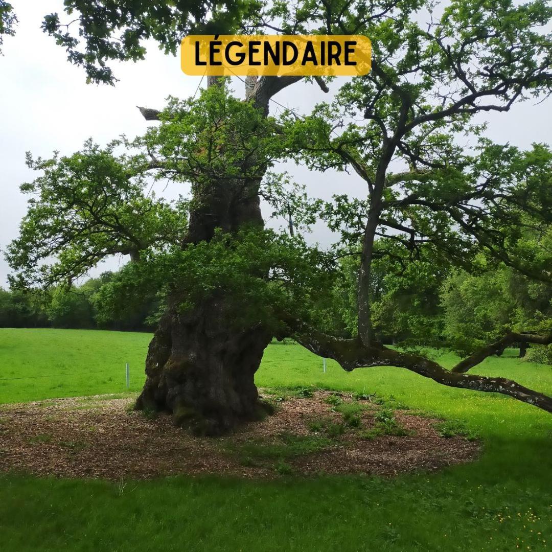 Camping Le Val Aux Fees - Broceliande Concoret Kültér fotó